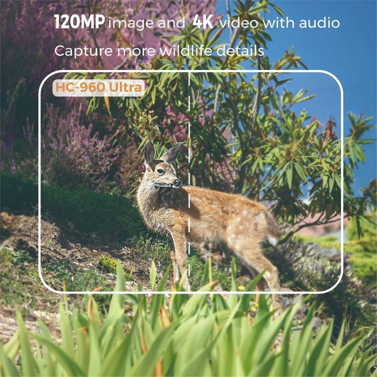 update. Outdoor 4G 120MP 4K Li - Hunting And Outdoor Shows recensie en prijs